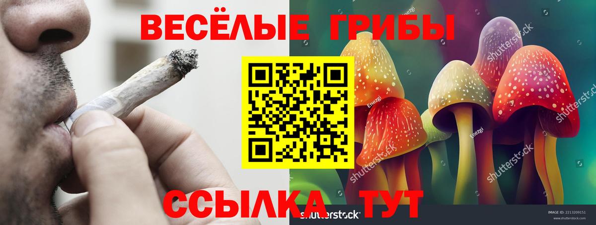 Галлюциногенные грибы мицелий Октябрьский